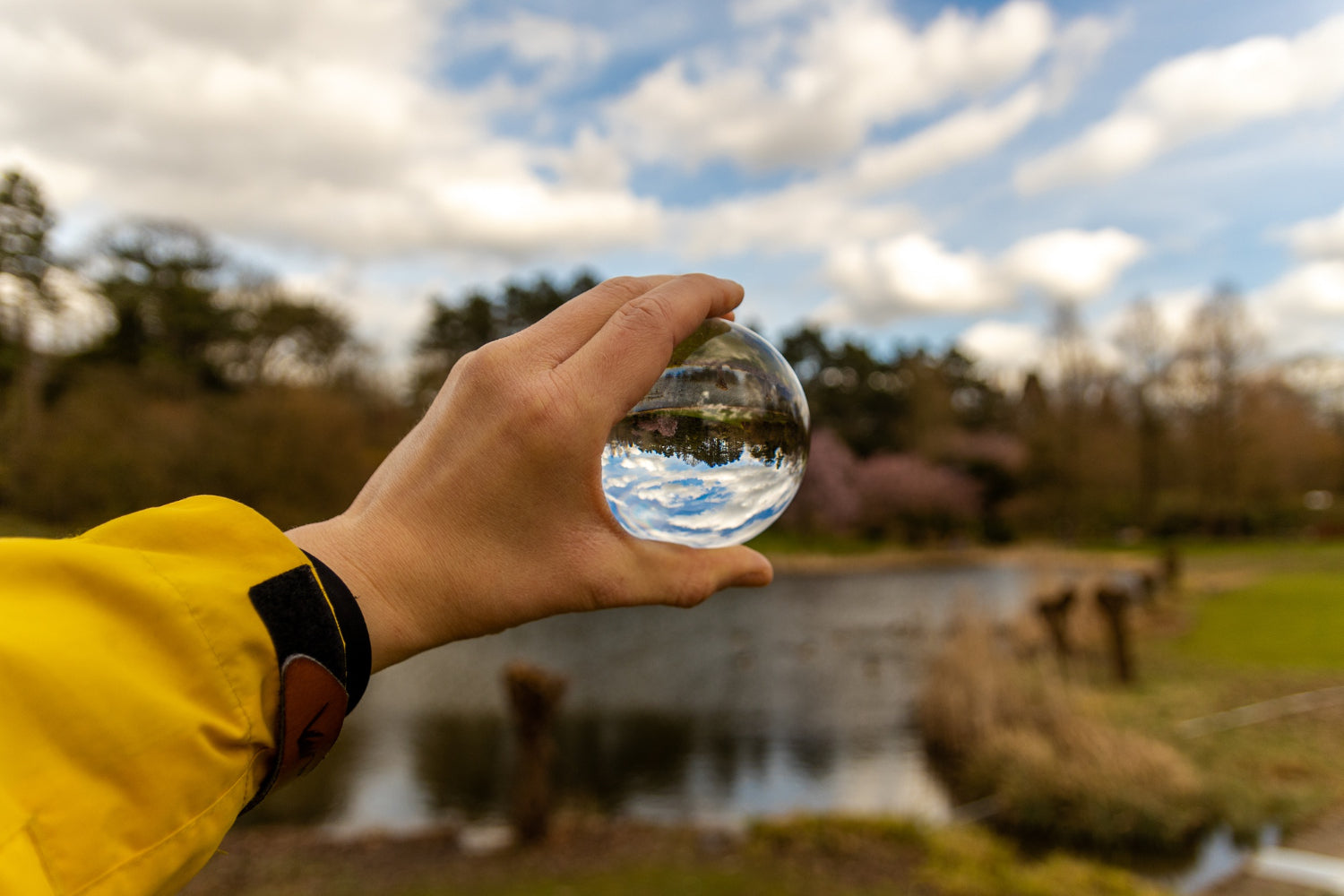 glazen-bol-natuur-reflectie-hand-gele-jas-meer-bomen